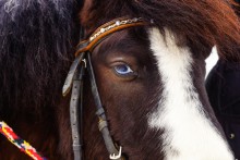 Масленица в Затерянном мире.