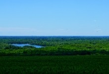 Стая черных акул у слияния Дона и Донца.