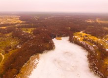 Мартовские ольховые рощи на реке Кундрючьей.