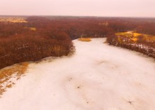 Мартовские ольховые рощи на реке Кундрючьей.