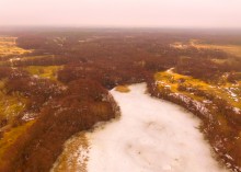 Мартовские ольховые рощи на реке Кундрючьей.