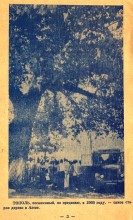 Азовский пороховой погреб. Изначальное состояние.