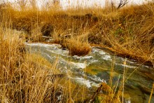Водяная мельница генералов Шамшевых на Кагальнике