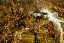 Водяная мельница генералов Шамшевых на Кагальнике