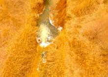 Водяная мельница генералов Шамшевых на Кагальнике