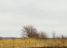 Водяная мельница генералов Шамшевых на Кагальнике