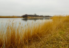 Водяная мельница генералов Шамшевых на Кагальнике
