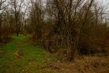 Водяная мельница генералов Шамшевых на Кагальнике