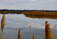 Средний Егорлык весной у поселка Сеятель южный.