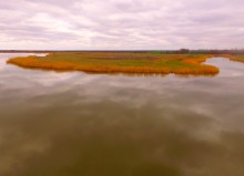 Средний Егорлык весной у поселка Сеятель южный.