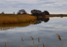 Средний Егорлык весной у поселка Сеятель южный.