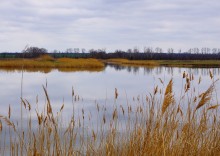 Средний Егорлык весной у поселка Сеятель южный.