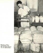 Коммуна Сеятель основанная в 1922 г. выходцами из Америки и Финляндии в Сальском районе Ростовской области.