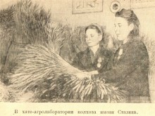 Коммуна Сеятель основанная в 1922 г. выходцами из Америки и Финляндии в Сальском районе Ростовской области.