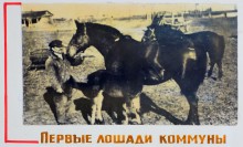 Коммуна Сеятель основанная в 1922 г. выходцами из Америки и Финляндии в Сальском районе Ростовской области.