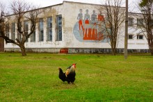 Коммуна Сеятель основанная в 1922 г. выходцами из Америки и Финляндии в Сальском районе Ростовской области.