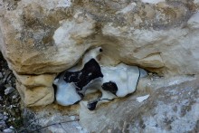 Памятник природы "Меловые дивы в Лысогорке" и подземный монастырь