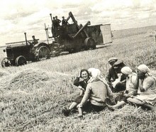 Уборка хлеба комбайнами, прицепными и современными.