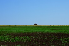Уборка хлеба комбайнами, прицепными и современными.
