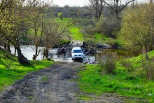 Проехали от Качеровых гор на Северском Донце до "Западни" в устье Быстрой. Тюльпаны, ирисы, немного экстрима и сморчковый бал в пойме у скал.
