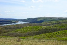 Проехали от Качеровых гор на Северском Донце до "Западни" в устье Быстрой. Тюльпаны, ирисы, немного экстрима и сморчковый бал в пойме у скал.