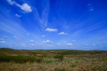Проехали от Качеровых гор на Северском Донце до "Западни" в устье Быстрой. Тюльпаны, ирисы, немного экстрима и сморчковый бал в пойме у скал.