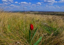 Гора Пирамидальная на Северском Донце