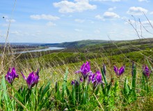 Гора Пирамидальная на Северском Донце
