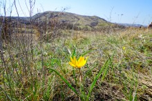 Гора Пирамидальная на Северском Донце