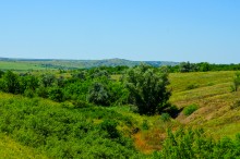 Гора Пирамидальная на Северском Донце