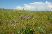 Гора Пирамидальная на Северском Донце