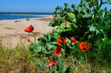 Прогулка по Ейской и Должанской косам и Ейску