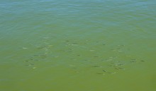 Прогулка по Ейской и Должанской косам и Ейску