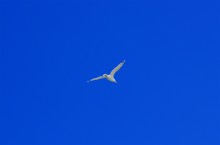 Прогулка по Ейской и Должанской косам и Ейску