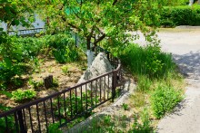 Противотанковые тетраэдры на улицах Ростова-на-Дону