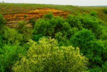 Источник с капотажем в балке у Несветая