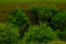 Источник с капотажем в балке у Несветая