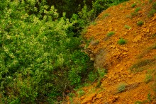 Источник с капотажем в балке у Несветая