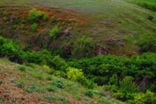 Источник с капотажем в балке у Несветая