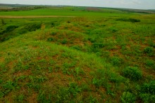 Источник с капотажем в балке у Несветая