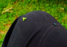 Источник с капотажем в балке у Несветая