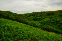 Источник с капотажем в балке у Несветая