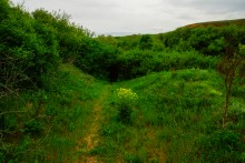 Источник с капотажем в балке у Несветая