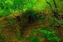 Источник с капотажем в балке у Несветая