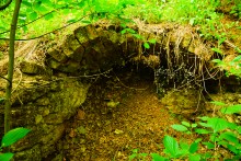 Источник с капотажем в балке у Несветая