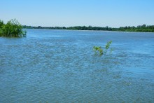 Паводок на Дону 2018