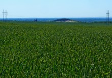 Окрестности хутора Крымского на Сухом Донце