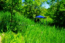 Окрестности хутора Крымского на Сухом Донце