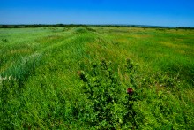 Прогулка по хазарским городищам нижнего Дона