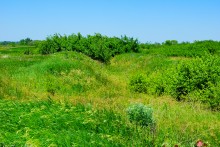 Прогулка по хазарским городищам нижнего Дона